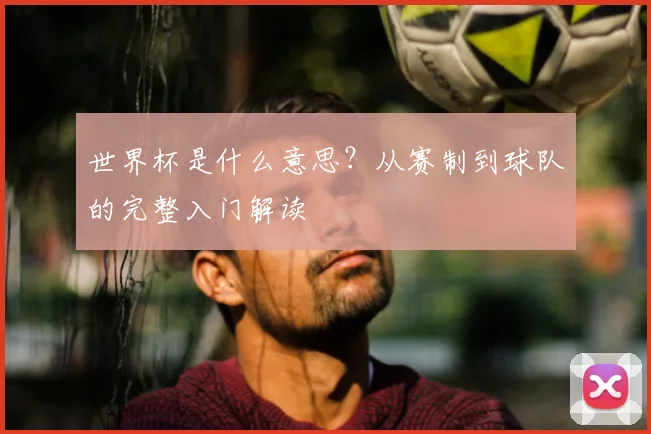 世界杯是什么意思?从赛制到球队的完整入门解读