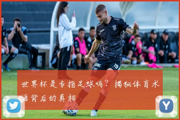 世界杯是专指足球吗？揭秘体育术语背后的真相