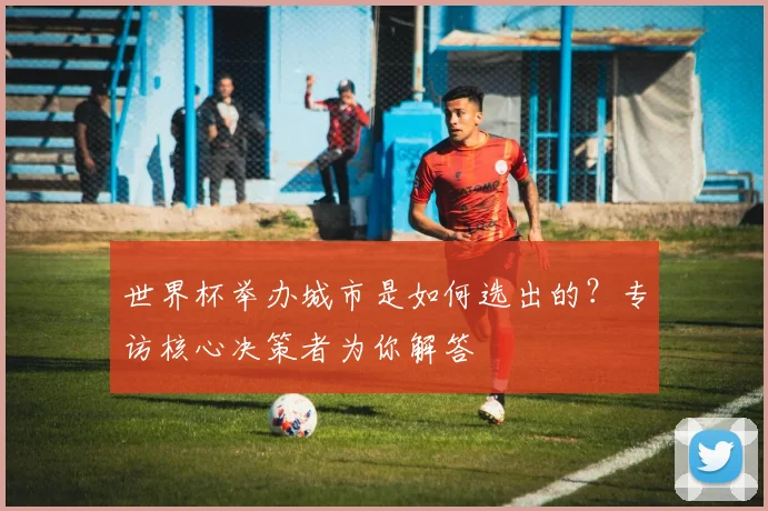 世界杯举办城市是如何选出的？专访核心决策者为你解答