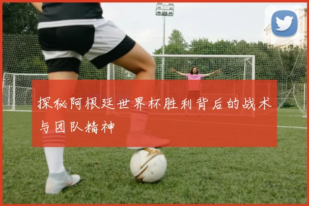 探秘阿根廷世界杯胜利背后的战术与团队精神