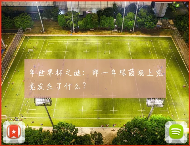年世界杯之谜：那一年绿茵场上究竟发生了什么？