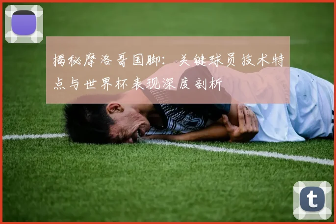 揭秘摩洛哥国脚：关键球员技术特点与世界杯表现深度剖析